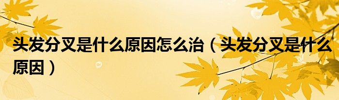頭發(fā)分叉是什么原因怎么治（頭發(fā)分叉是什么原因）
