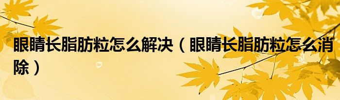 眼睛長脂肪粒怎么解決（眼睛長脂肪粒怎么消除）