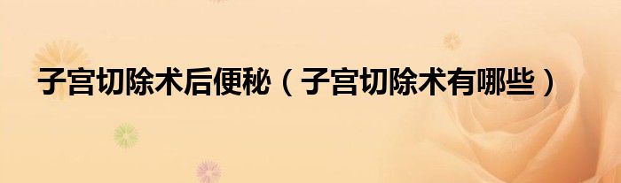 子宮切除術(shù)后便秘（子宮切除術(shù)有哪些）