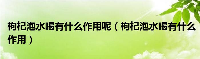 枸杞泡水喝有什么作用呢（枸杞泡水喝有什么作用）