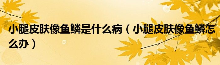 小腿皮膚像魚鱗是什么?。ㄐ⊥绕つw像魚鱗怎么辦）