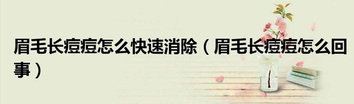 眉毛長痘痘怎么快速消除（眉毛長痘痘怎么回事）