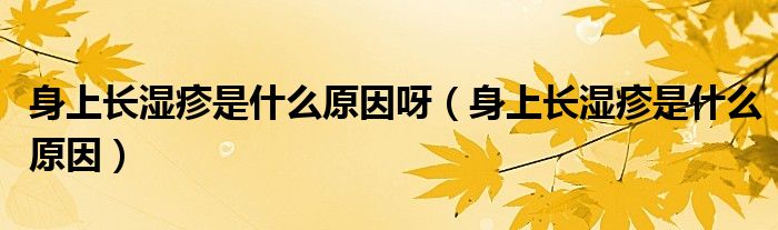 身上長(zhǎng)濕疹是什么原因呀（身上長(zhǎng)濕疹是什么原因）