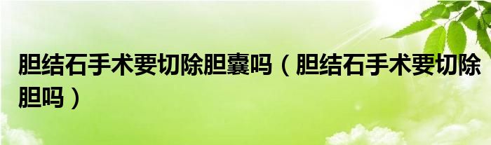 膽結(jié)石手術(shù)要切除膽囊嗎（膽結(jié)石手術(shù)要切除膽嗎）