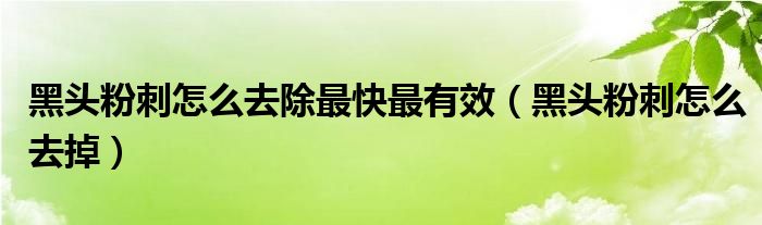黑頭粉刺怎么去除最快最有效（黑頭粉刺怎么去掉）