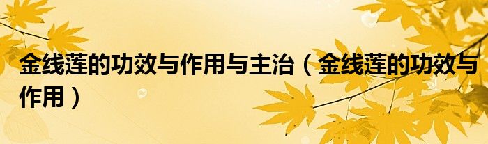 金線蓮的功效與作用與主治（金線蓮的功效與作用）