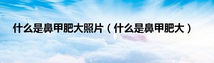 什么是鼻甲肥大照片(什么是鼻甲肥大)