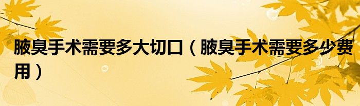 腋臭手術(shù)需要多大切口（腋臭手術(shù)需要多少費(fèi)用）