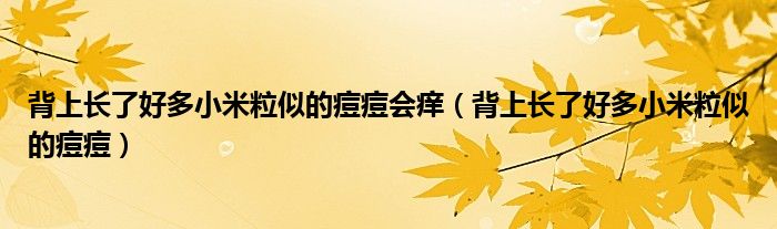 背上長了好多小米粒似的痘痘會(huì)癢（背上長了好多小米粒似的痘痘）