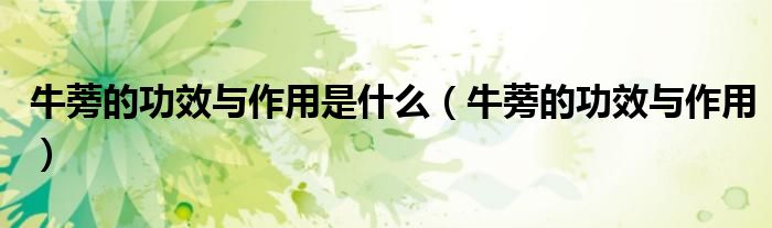 牛蒡的功效與作用是什么（牛蒡的功效與作用）