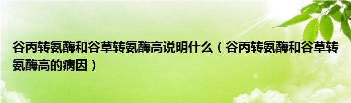 谷丙轉(zhuǎn)氨酶和谷草轉(zhuǎn)氨酶高說明什么（谷丙轉(zhuǎn)氨酶和谷草轉(zhuǎn)氨酶高的病因）