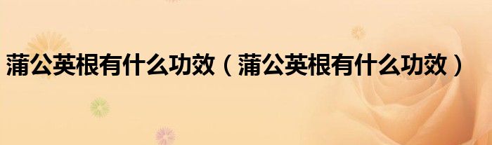 蒲公英根有什么功效（蒲公英根有什么功效）