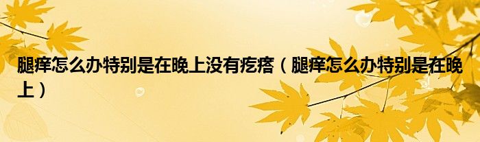 腿癢怎么辦特別是在晚上沒有疙瘩（腿癢怎么辦特別是在晚上）