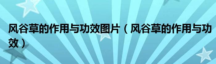 風(fēng)谷草的作用與功效圖片（風(fēng)谷草的作用與功效）