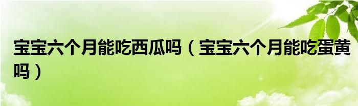 寶寶六個(gè)月能吃西瓜嗎（寶寶六個(gè)月能吃蛋黃嗎）