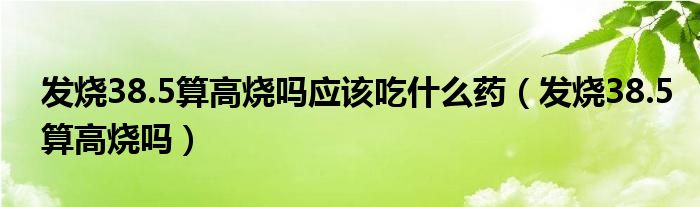 發(fā)燒38.5算高燒嗎應(yīng)該吃什么藥（發(fā)燒38.5算高燒嗎）