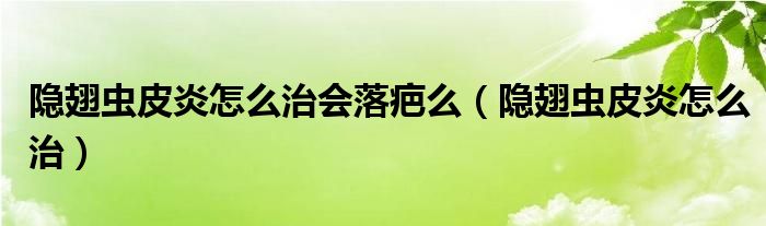 隱翅蟲皮炎怎么治會(huì)落疤么（隱翅蟲皮炎怎么治）