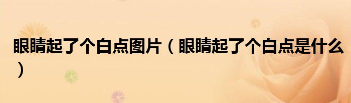 眼睛起了個白點圖片（眼睛起了個白點是什么）