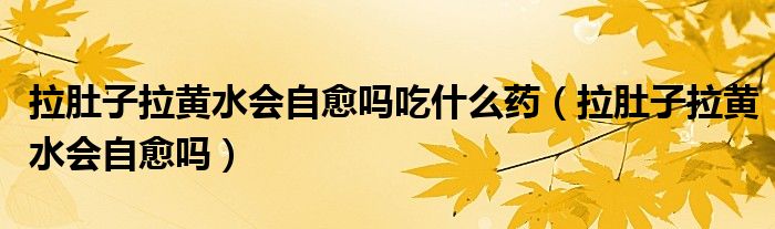 拉肚子拉黃水會(huì)自愈嗎吃什么藥（拉肚子拉黃水會(huì)自愈嗎）
