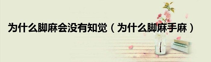 為什么腳麻會(huì)沒有知覺（為什么腳麻手麻）