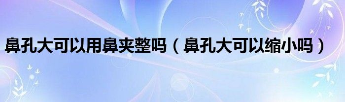 鼻孔大可以用鼻夾整嗎(鼻孔大可以縮小嗎)