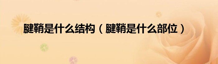 腱鞘是什么結(jié)構(gòu)（腱鞘是什么部位）