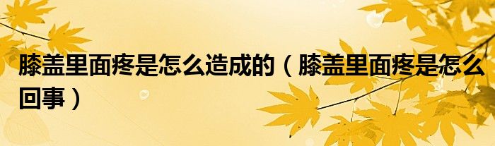膝蓋里面疼是怎么造成的（膝蓋里面疼是怎么回事）