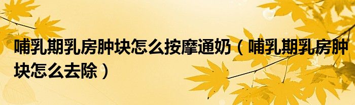 哺乳期乳房腫塊怎么按摩通奶（哺乳期乳房腫塊怎么去除）