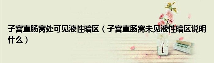 子宮直腸窩處可見液性暗區(qū)（子宮直腸窩未見液性暗區(qū)說明什么）