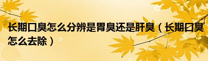 長期口臭怎么分辨是胃臭還是肝臭（長期口臭怎么去除）