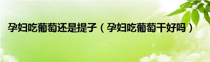 孕婦吃葡萄還是提子（孕婦吃葡萄干好嗎）
