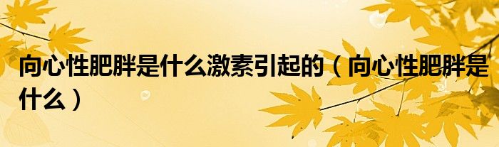 向心性肥胖是什么激素引起的（向心性肥胖是什么）