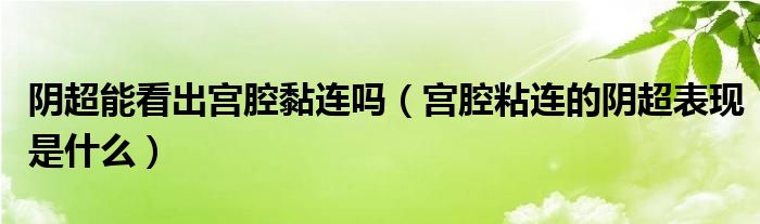 陰超能看出宮腔黏連嗎（宮腔粘連的陰超表現(xiàn)是什么）