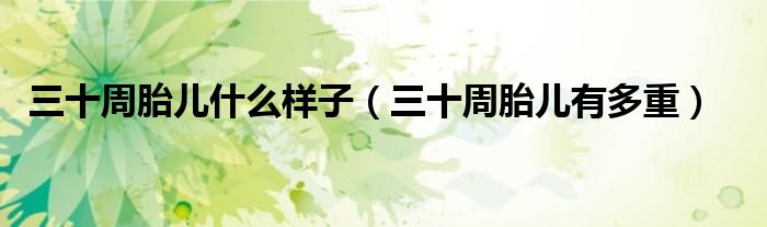 三十周胎兒什么樣子（三十周胎兒有多重）