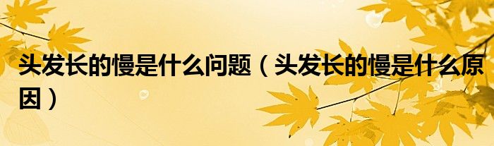 頭發(fā)長的慢是什么問題（頭發(fā)長的慢是什么原因）
