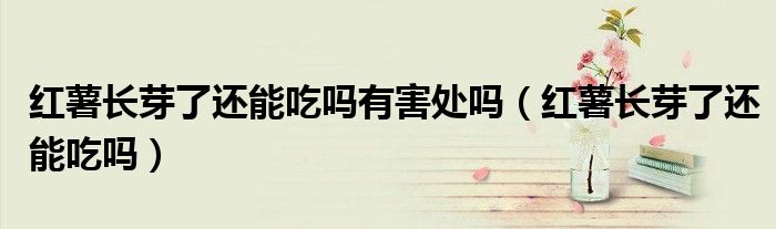 紅薯長(zhǎng)芽了還能吃嗎有害處嗎（紅薯長(zhǎng)芽了還能吃嗎）