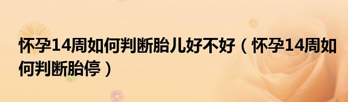 懷孕14周如何判斷胎兒好不好（懷孕14周如何判斷胎停）