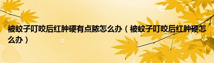 被蚊子叮咬后紅腫硬有點膿怎么辦(被蚊子叮咬后紅腫硬怎么辦)