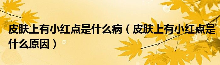 皮膚上有小紅點(diǎn)是什么?。ㄆつw上有小紅點(diǎn)是什么原因）