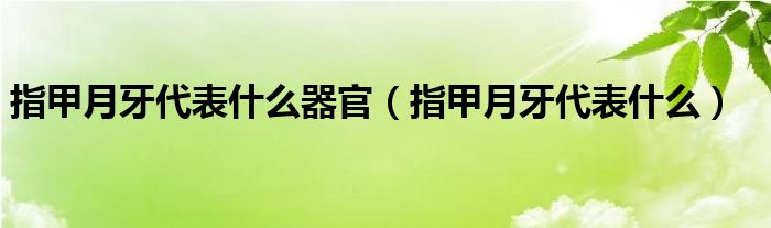 指甲月牙代表什么器官（指甲月牙代表什么）