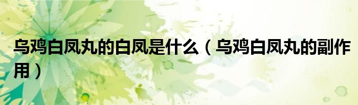 烏雞白鳳丸的白鳳是什么（烏雞白鳳丸的副作用）
