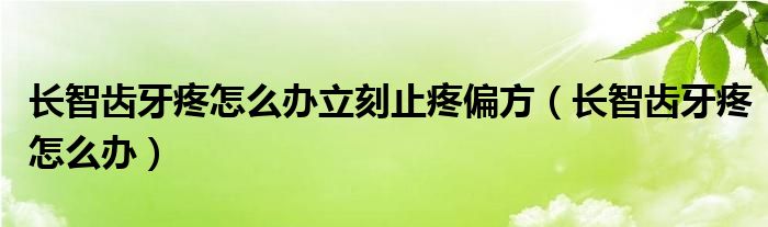 長智齒牙疼怎么辦立刻止疼偏方（長智齒牙疼怎么辦）