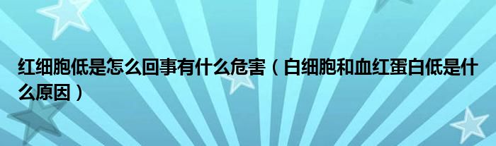 紅細胞低是怎么回事有什么危害（白細胞和血紅蛋白低是什么原因）