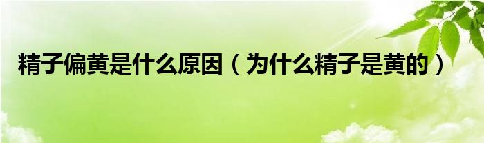 精子偏黃是什么原因（為什么精子是黃的）