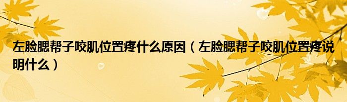 左臉腮幫子咬肌位置疼什么原因（左臉腮幫子咬肌位置疼說(shuō)明什么）