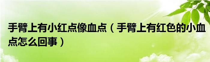 手臂上有小紅點(diǎn)像血點(diǎn)（手臂上有紅色的小血點(diǎn)怎么回事）