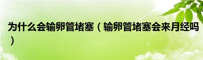 為什么會輸卵管堵塞（輸卵管堵塞會來月經(jīng)嗎）