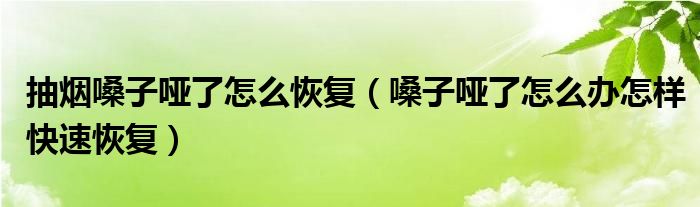 抽煙嗓子啞了怎么恢復（嗓子啞了怎么辦怎樣快速恢復）