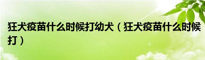 狂犬疫苗什么時(shí)候打幼犬（狂犬疫苗什么時(shí)候打）