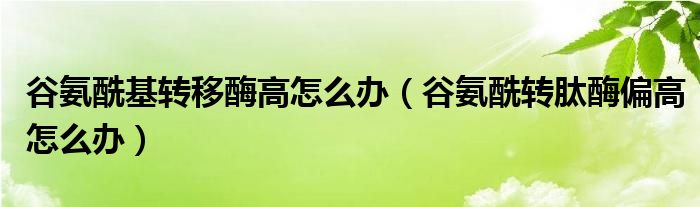 谷氨?；D(zhuǎn)移酶高怎么辦（谷氨酰轉(zhuǎn)肽酶偏高怎么辦）